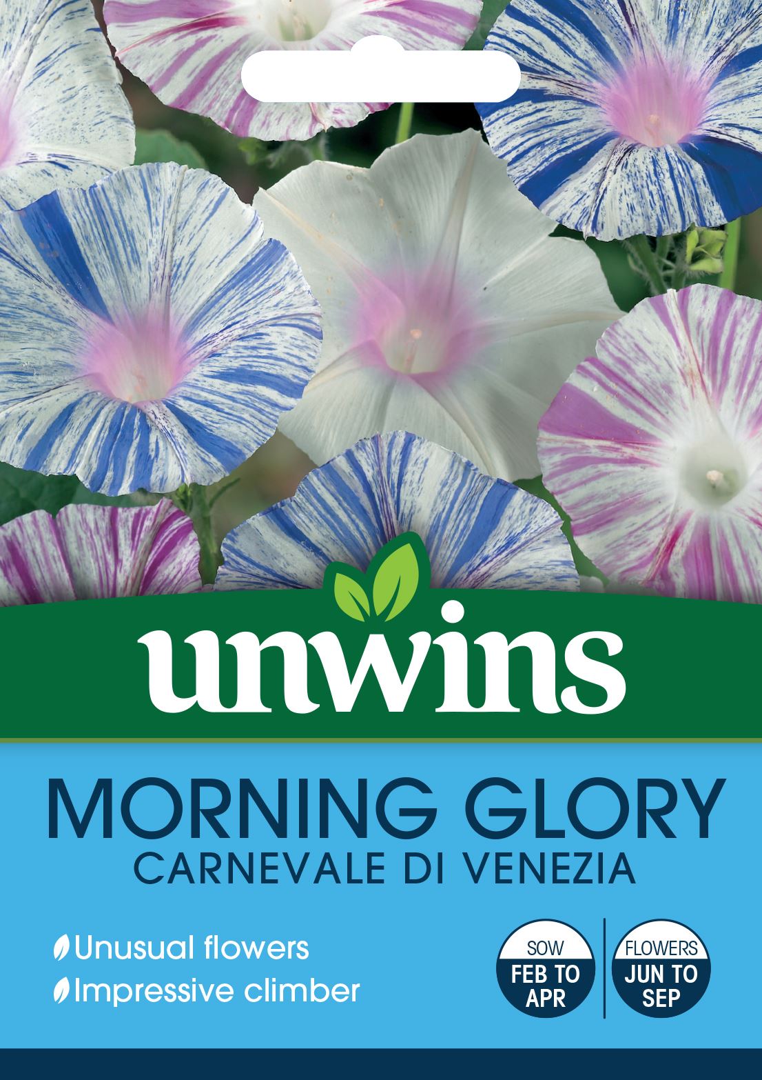 Unwins Morning Glory Carnevale di Venezia 35 Seeds