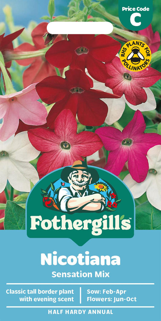 Fothergills Nicotiana Sensation Mix Seeds