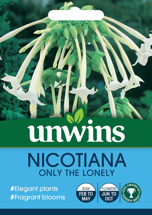 Unwins Nicotiana Sylvestris Only The Lonely 2000 Seeds