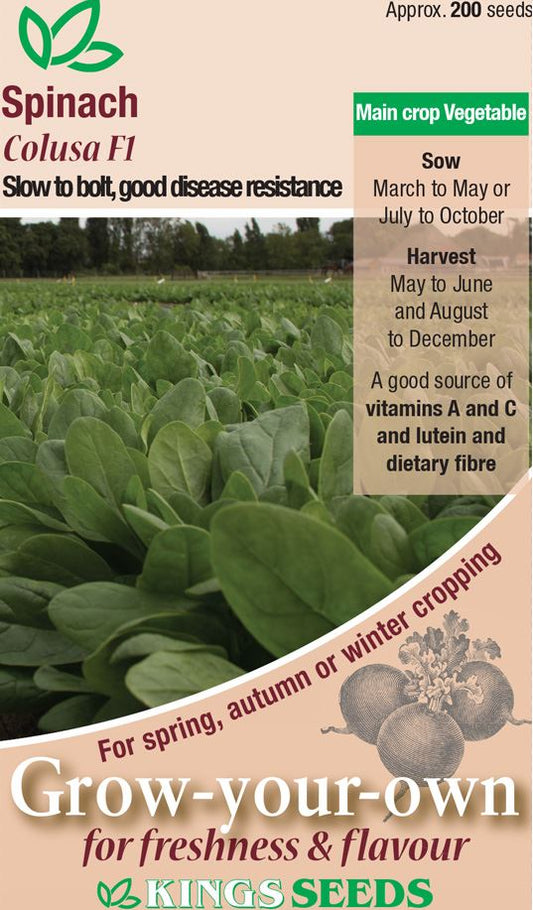 Kings Seeds  Spinach Colusa F1 Seeds
