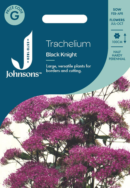 Johnsons - Trachelium Black Knight - 15 Seeds