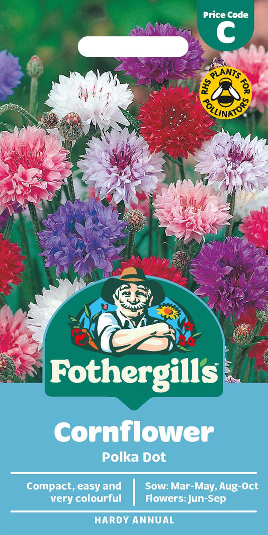 Fothergills Cornflower Polka Dot Seeds