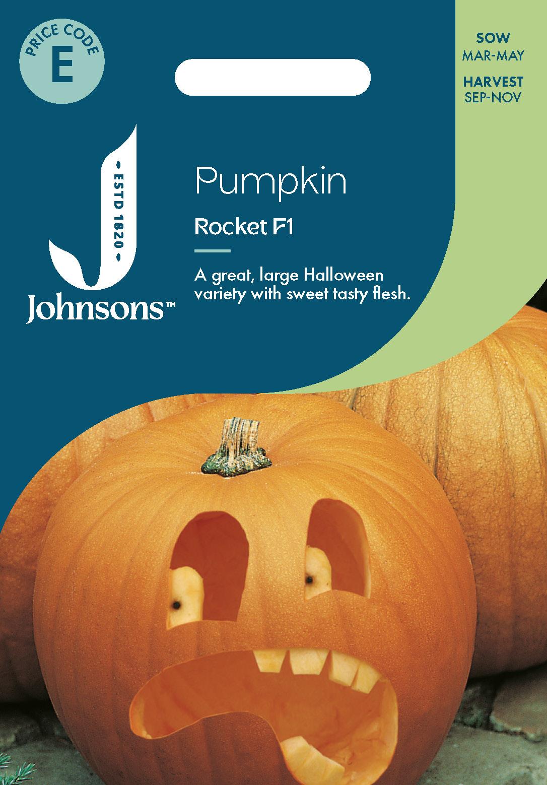Johnsons - Pumpkin Rocket F1 - 10 Seeds