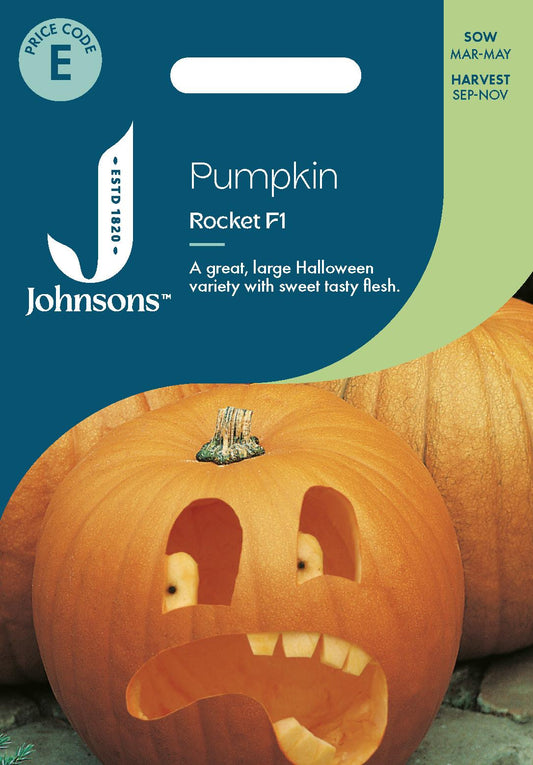 Johnsons - Pumpkin Rocket F1 - 10 Seeds