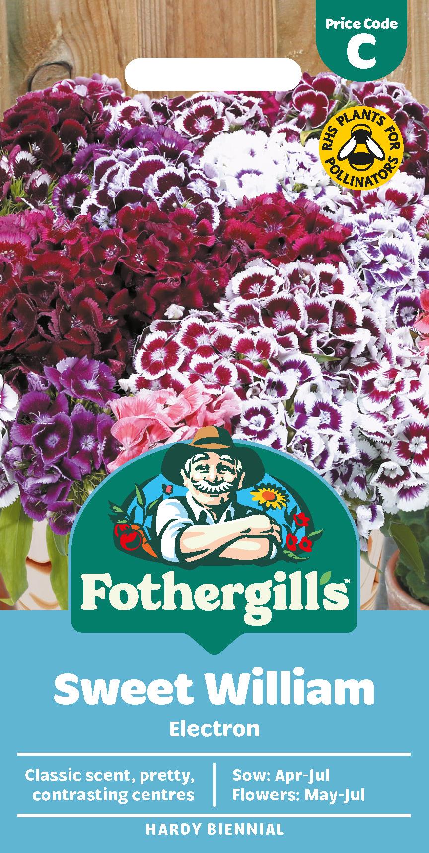 Fothergills Sweet William Electron Seeds