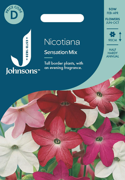 Johnsons - Nicotiana Sensation Mix - 2000 Seeds