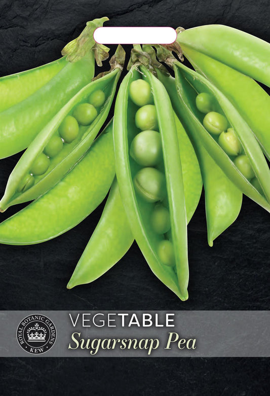 Thompson & Morgan Kew Vegetable Pea Sugar Ann - 450 Seeds