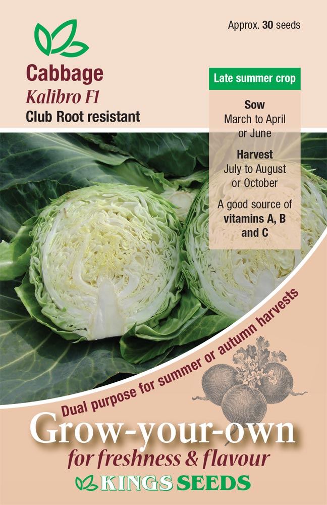 Kings Seeds  Cabbage Kalibro F1 Seeds