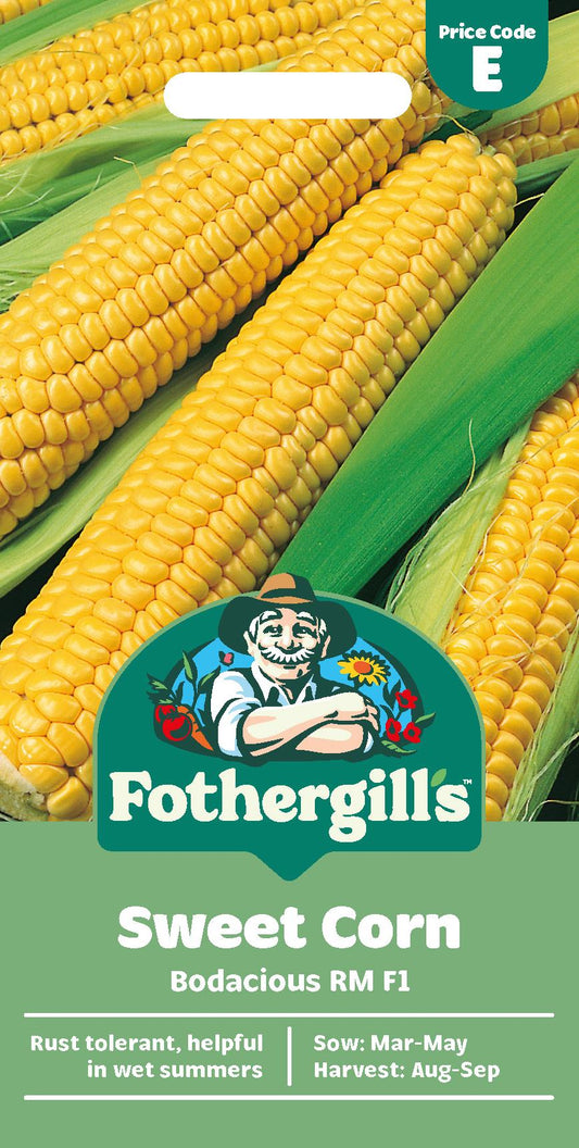 Fothergills Sweet Corn Bodacious Rm F1 Seeds
