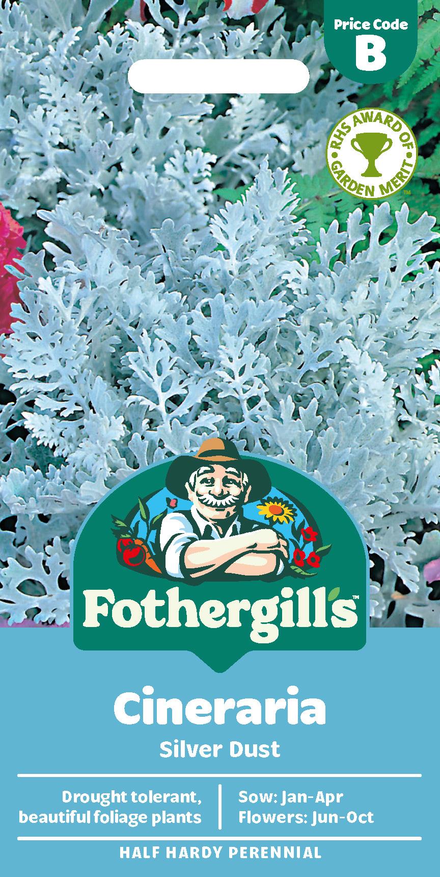 Fothergills Cineraria Silver Dust Seeds
