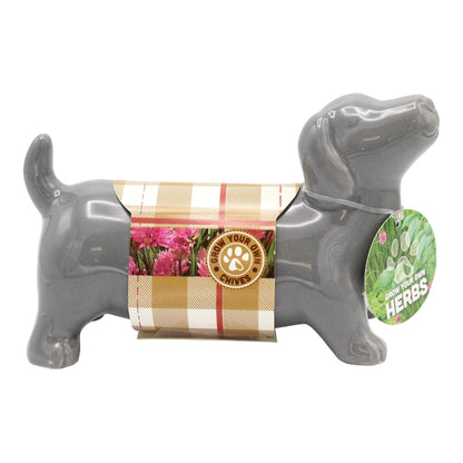 Sausage Dog Chive Herb Planter Grow Kit – Bees Seeds