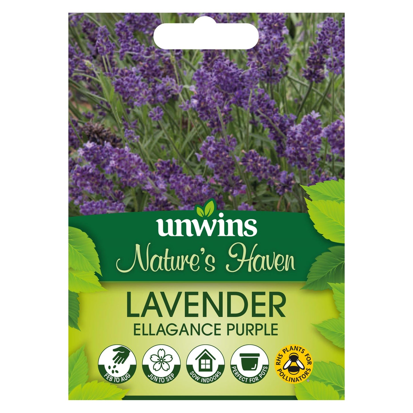 Unwins Flower Lavender Ellagance Purple - 20 Seeds