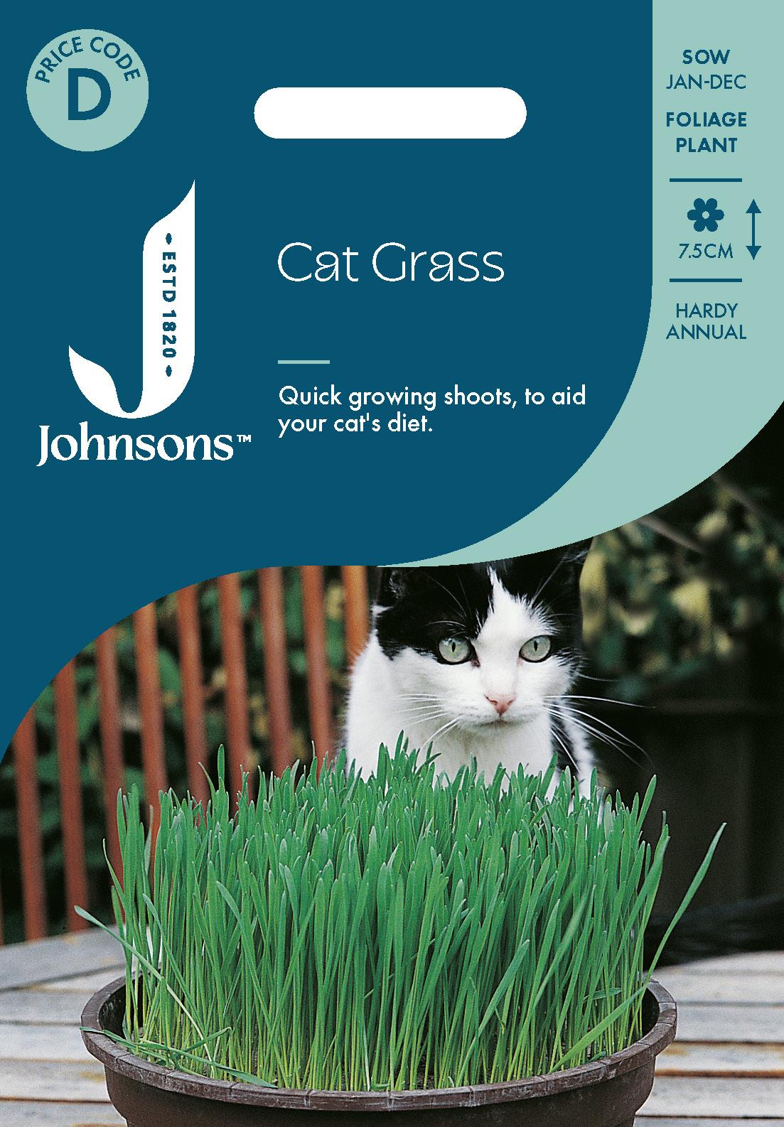 Johnsons - Cat Grass - Avena Sativa - 25g Seeds