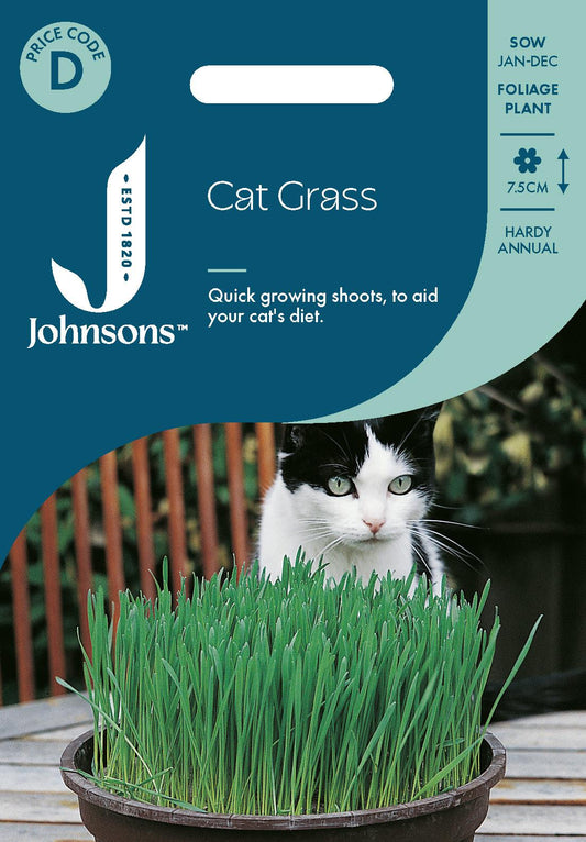 Johnsons - Cat Grass - Avena Sativa - 25g Seeds