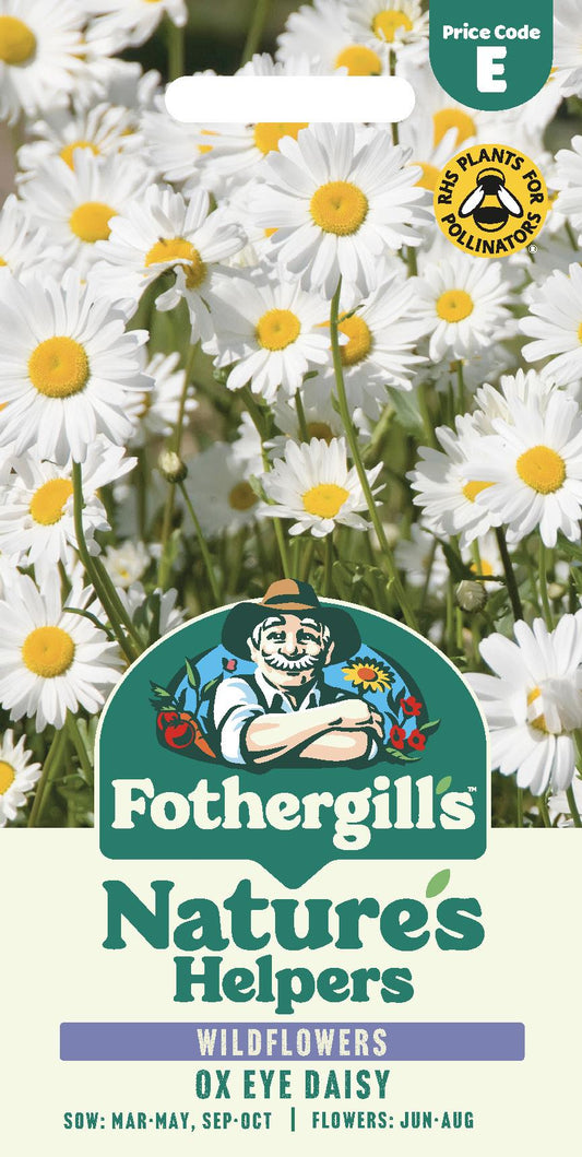 Fothergills Wild flowers Nature Haven Ox Eye Daisy Seeds