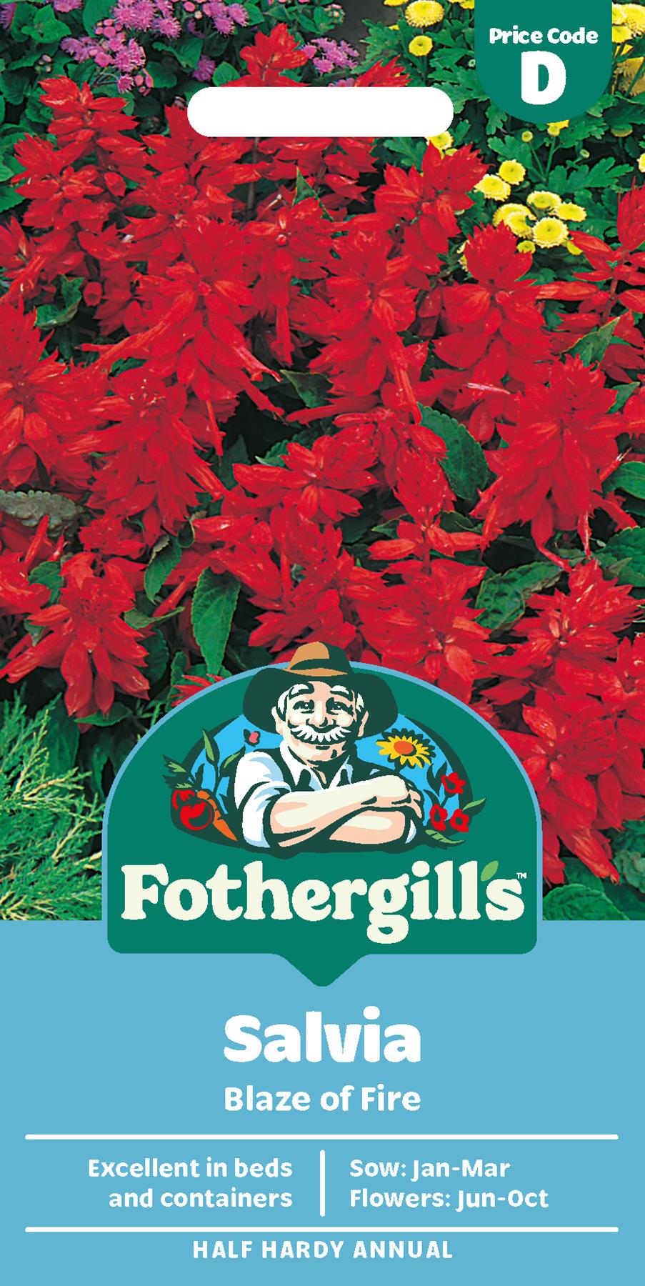 Fothergills Salvia Blaze Of Fire Seeds