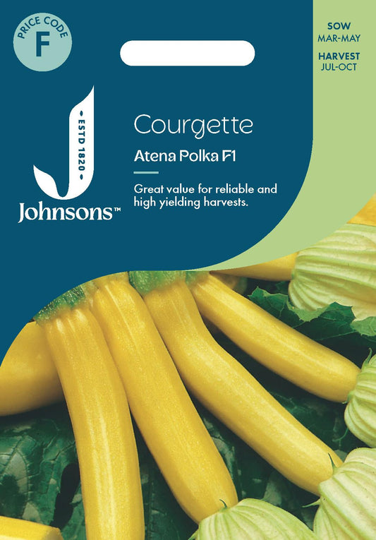 Johnsons - Courgette Atena Polka F1 - 10 Seeds