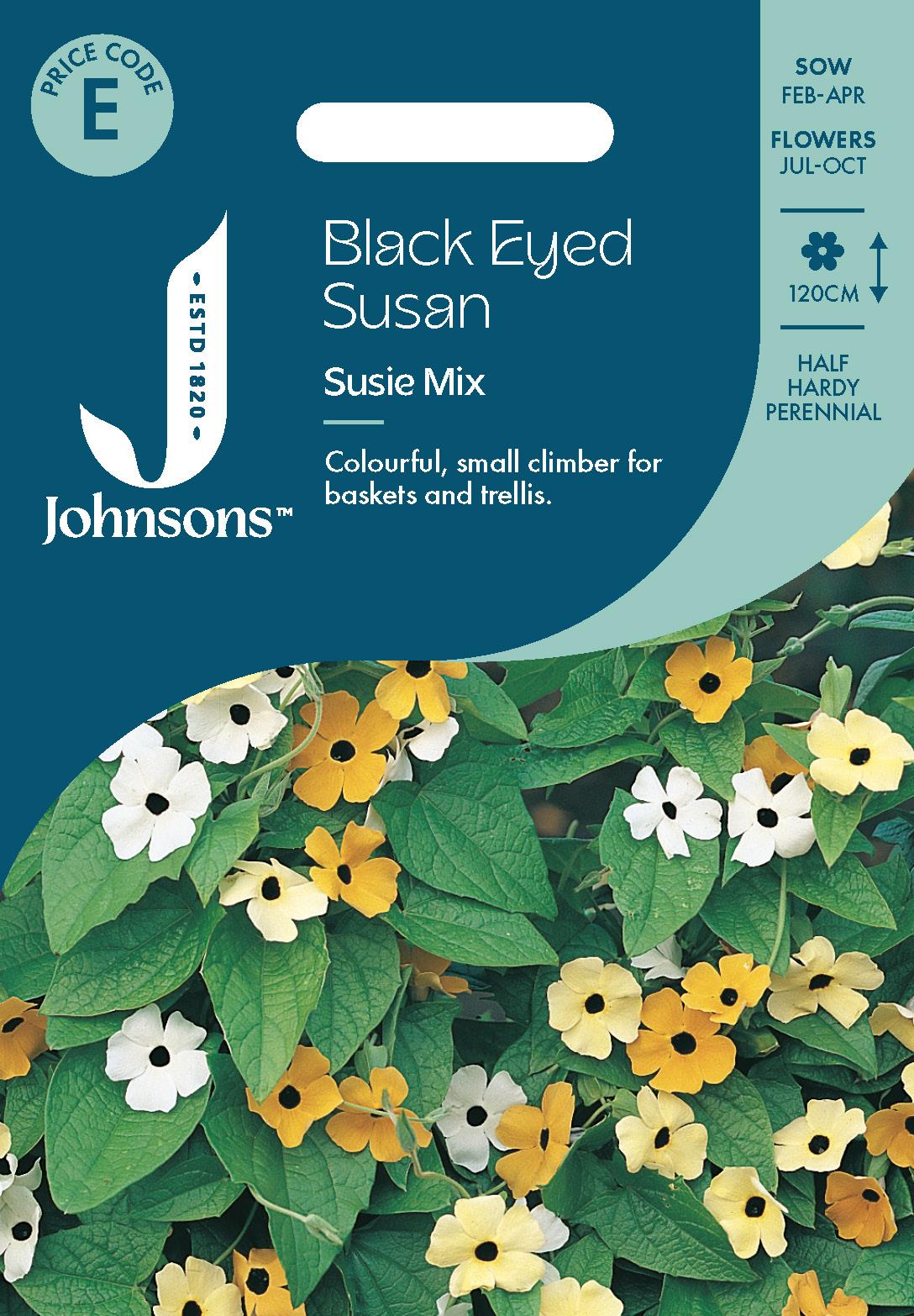 Johnsons - Black Eyed Susan Susie Mix - 25 Seeds