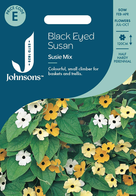 Johnsons - Black Eyed Susan Susie Mix - 25 Seeds