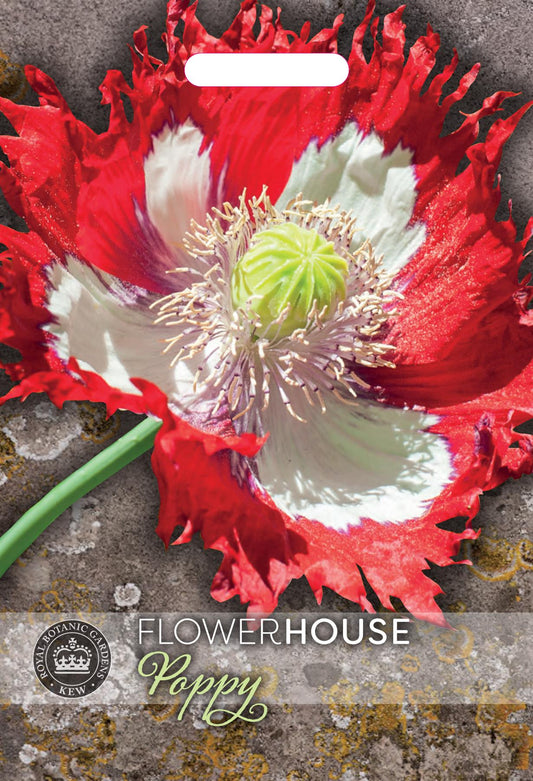 Thompson & Morgan Kew Flower Poppy Papaver Danish Flag - 400 Seeds