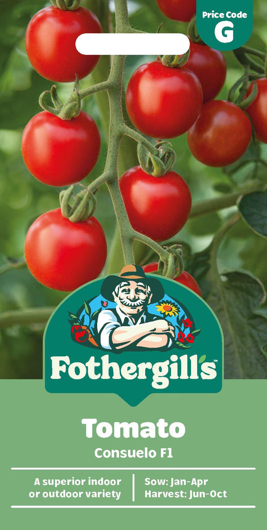 Fothergills Tomato Consuelo F1 Seeds