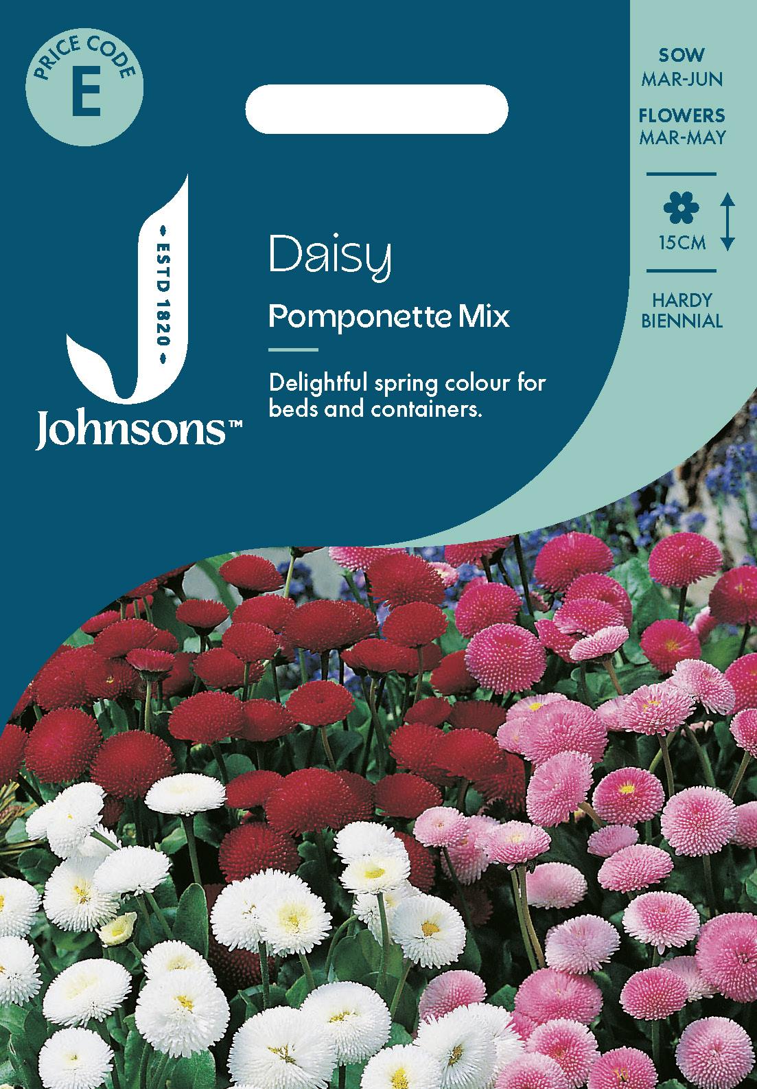 Johnsons - Daisy Pomponette Mix - 250 Seeds