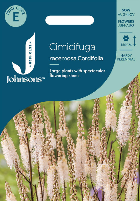 Johnsons - Cimicifuga Racemosa Cordifolia - 50 Seeds