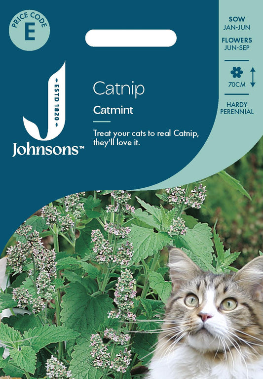 Johnsons - Catnip - Catmint - 250 Seeds