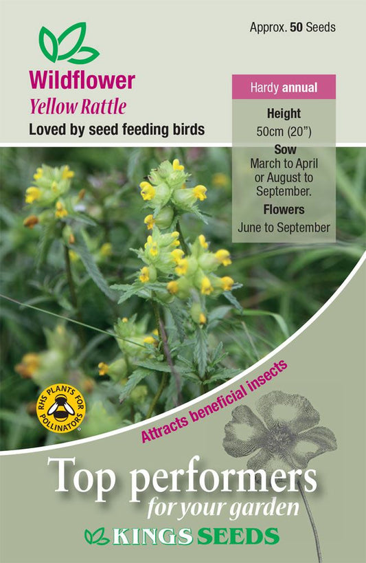 Kings Seeds Wild Flower Yellow Rattle Seeds