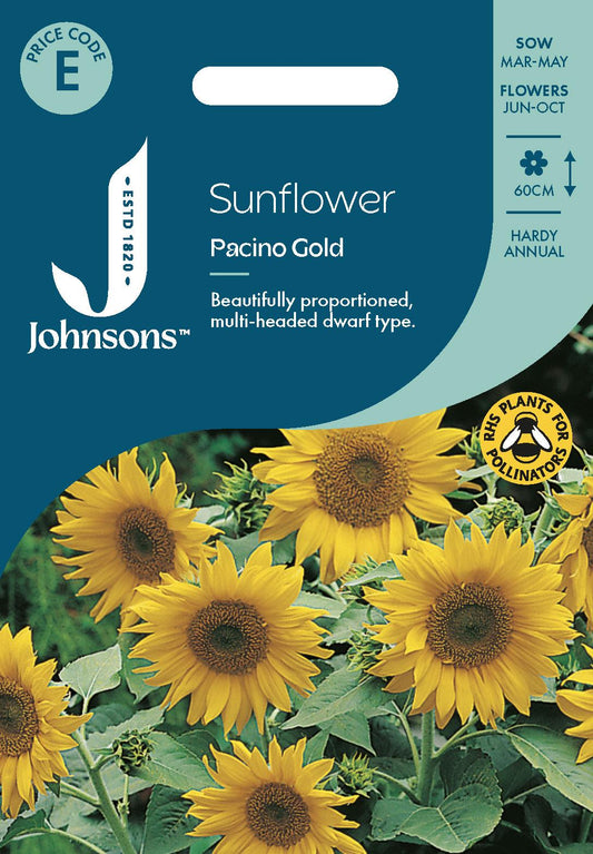 Johnsons - Sunflower Pacino Gold - 20 Seeds