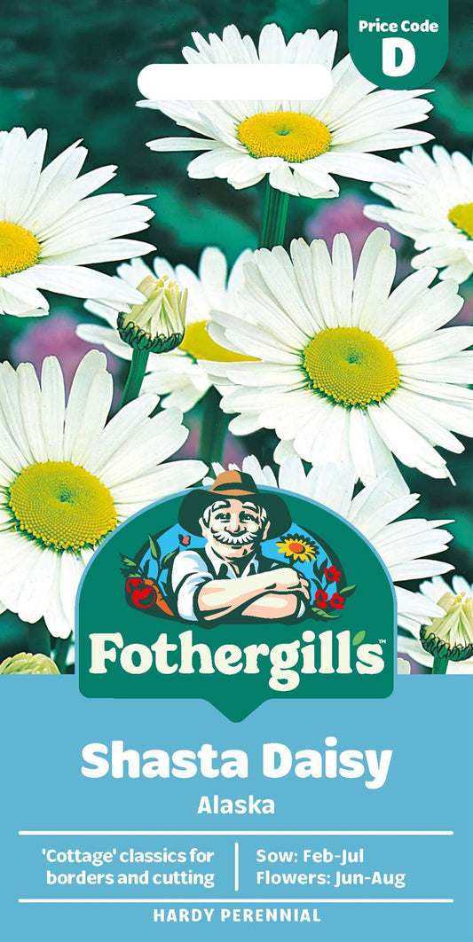 Fothergills Shasta Daisy Alaska Seeds