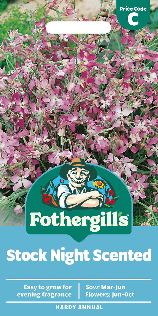 Fothergills Stock Night Scented Seeds