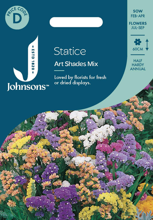 Johnsons - Statice Art Shades Mix - 100 Seeds
