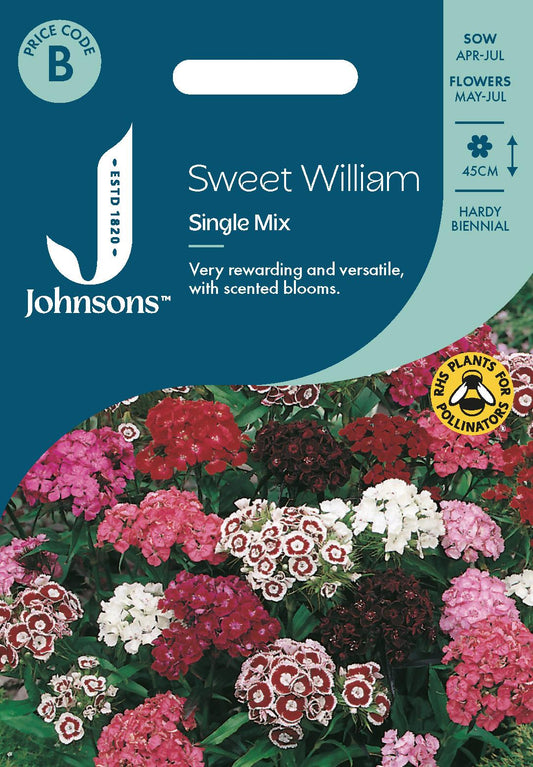Johnsons - Sweet William Single Mix - 500 Seeds