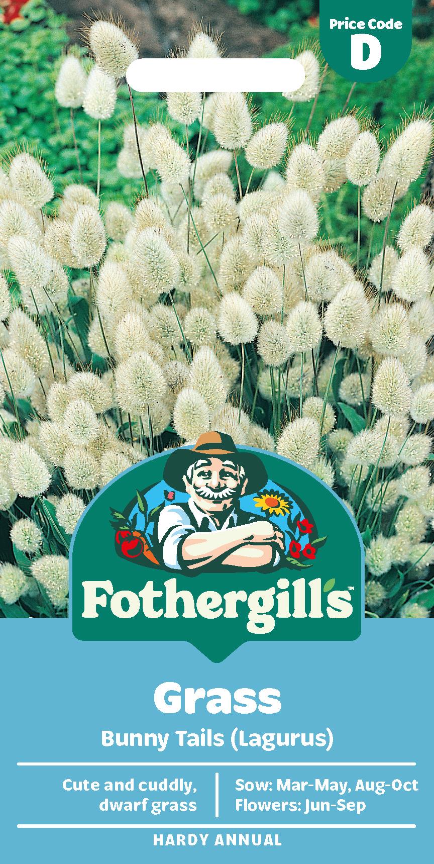 Fothergills Grass Bunny Tails (Lagurus) Seeds