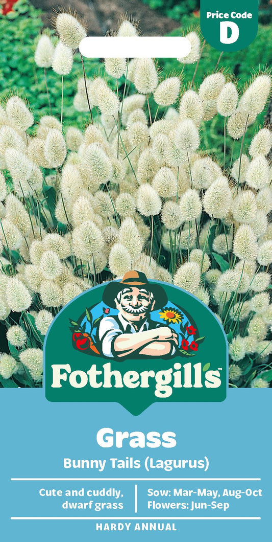 Fothergills Grass Bunny Tails (Lagurus) Seeds