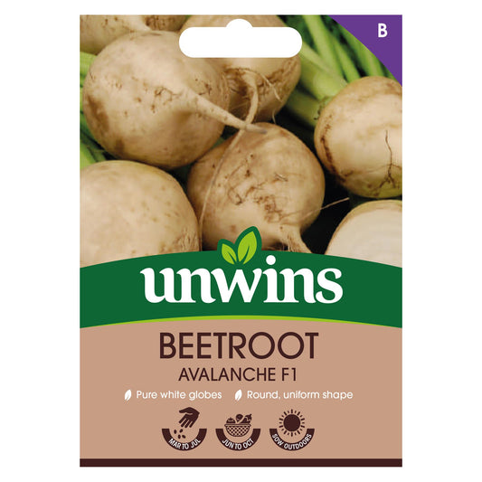 Unwins Vegetable Beetroot Avalanche F1 Hybrid - 200 Seeds