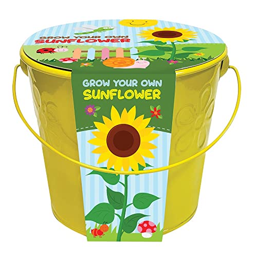 Taylors Bulbs GYO Kids Sunflower Planter. Children's Gardening Gift. Seed & Compost Kit.