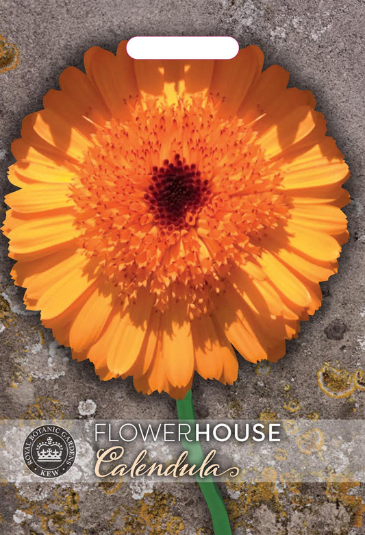 Thompson & Morgan Kew Flower Calendula 'Crown Orange' - 65 Seeds