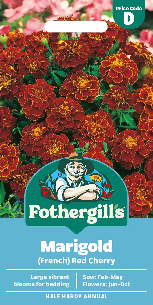 Fothergills French Marigold Red Cherry Seeds