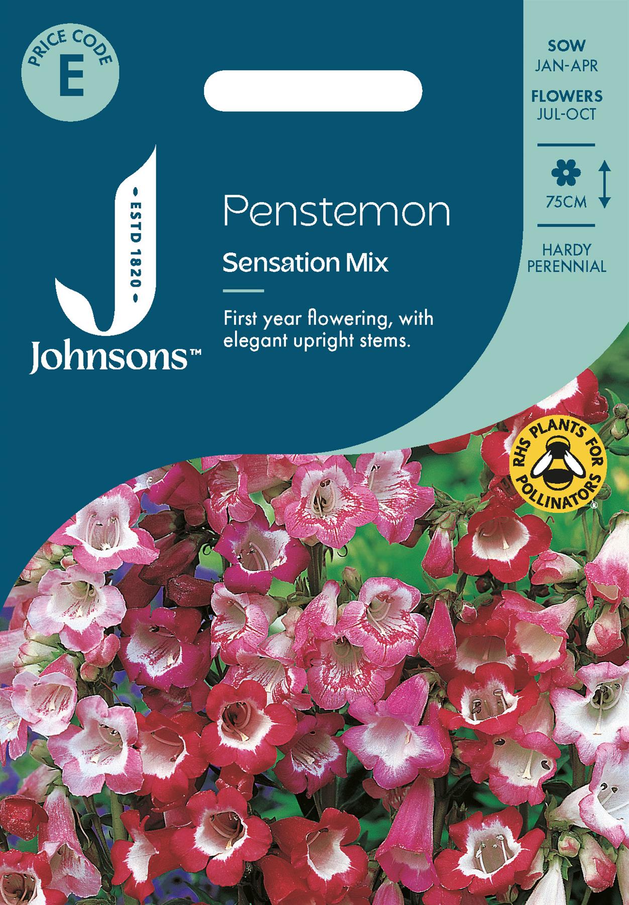 Johnsons - Penstemon Sensation Mix - 500 Seeds