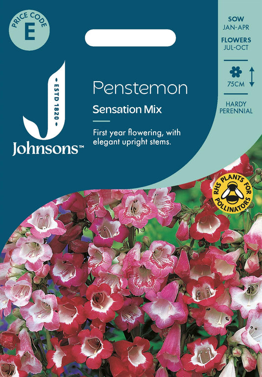 Johnsons - Penstemon Sensation Mix - 500 Seeds