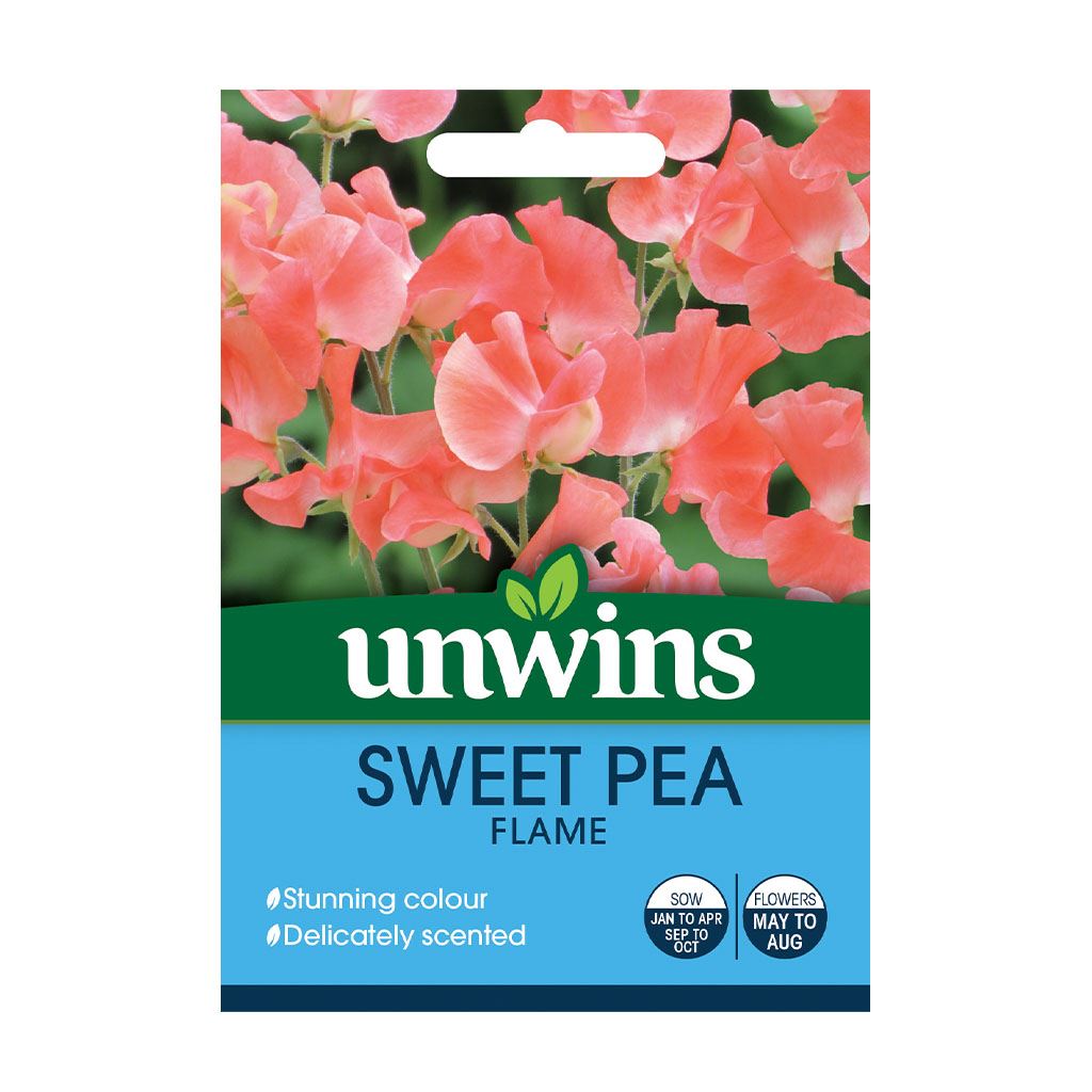 Unwins - Flower - Sweet Pea Flame Seeds