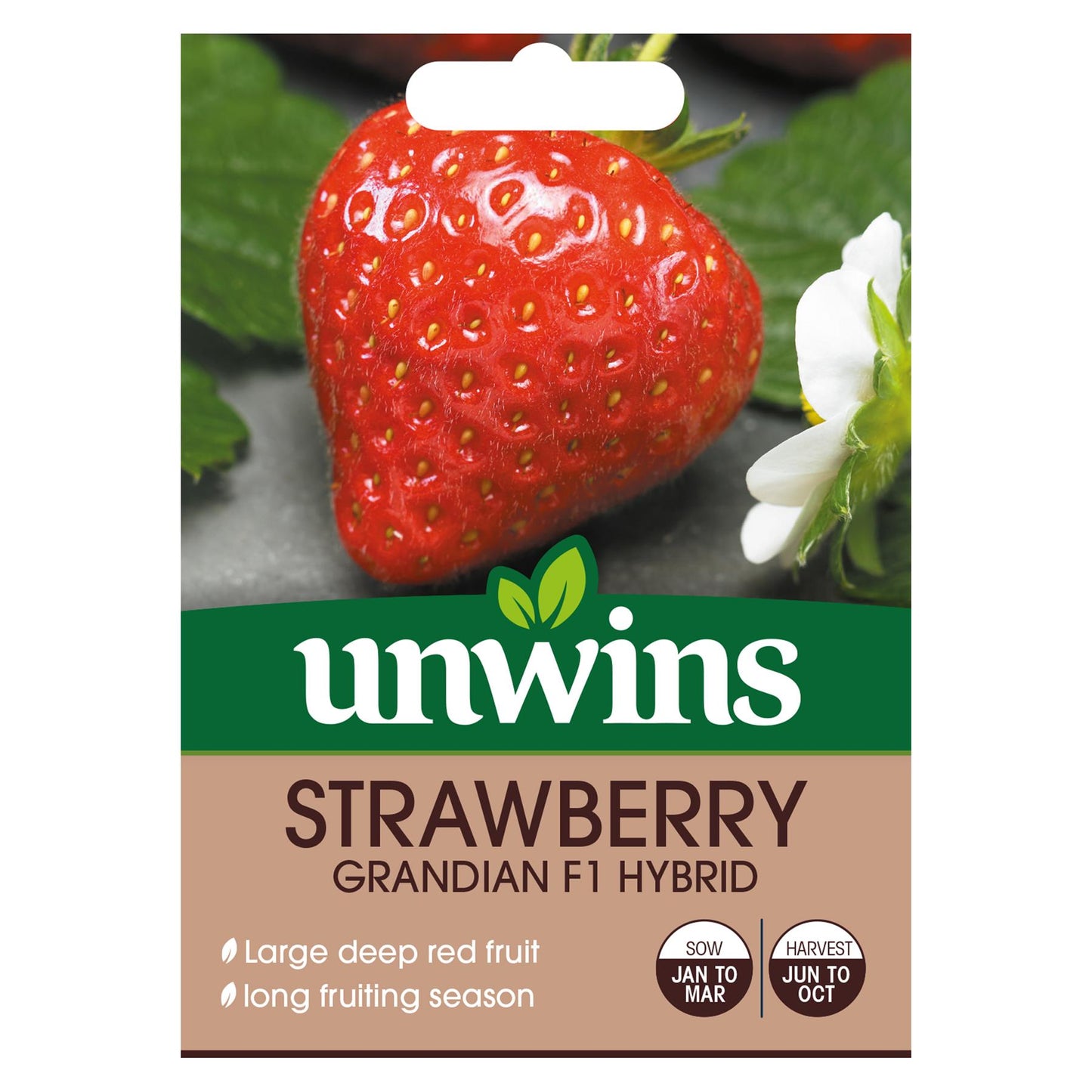 Unwins Fruit Strawberry Grandian F1 Hybrid - 10 Seeds