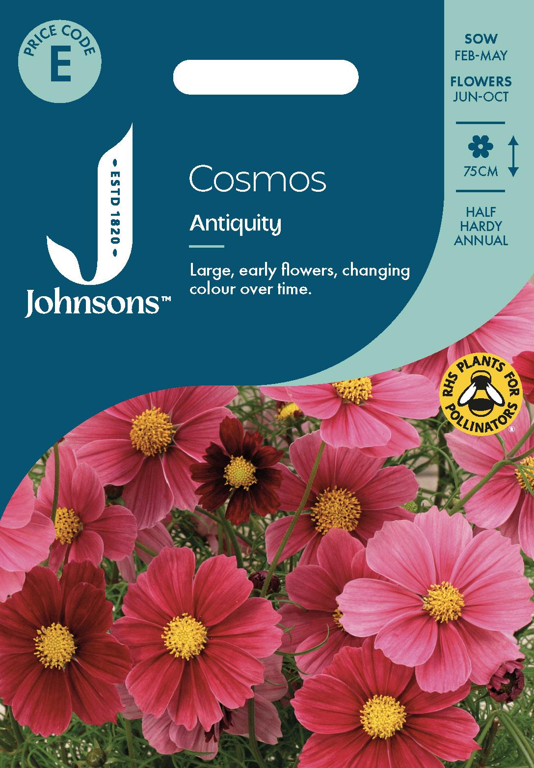 Johnsons - Cosmos Antiquity - 30 Seeds