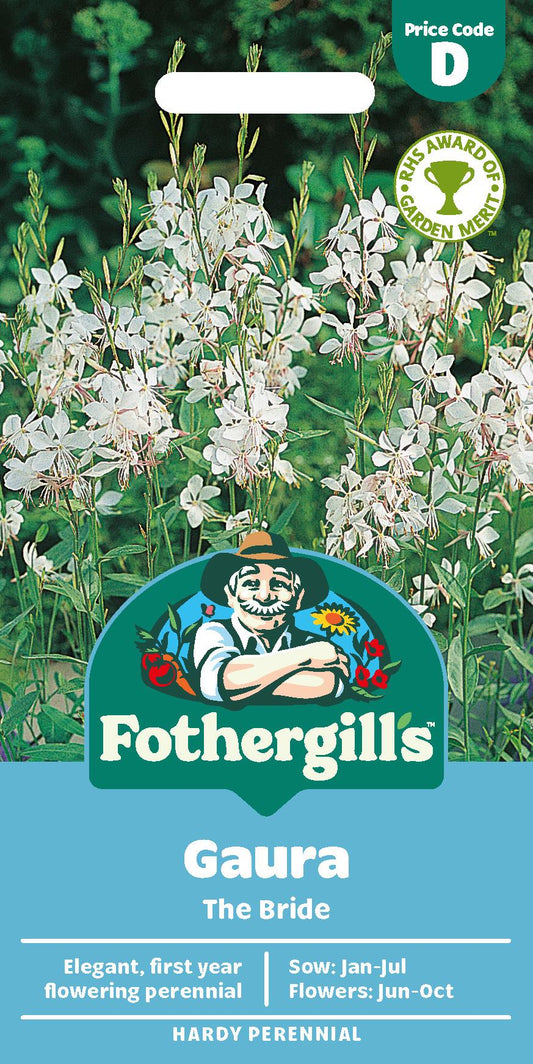 Fothergills Gaura The Bride Seeds