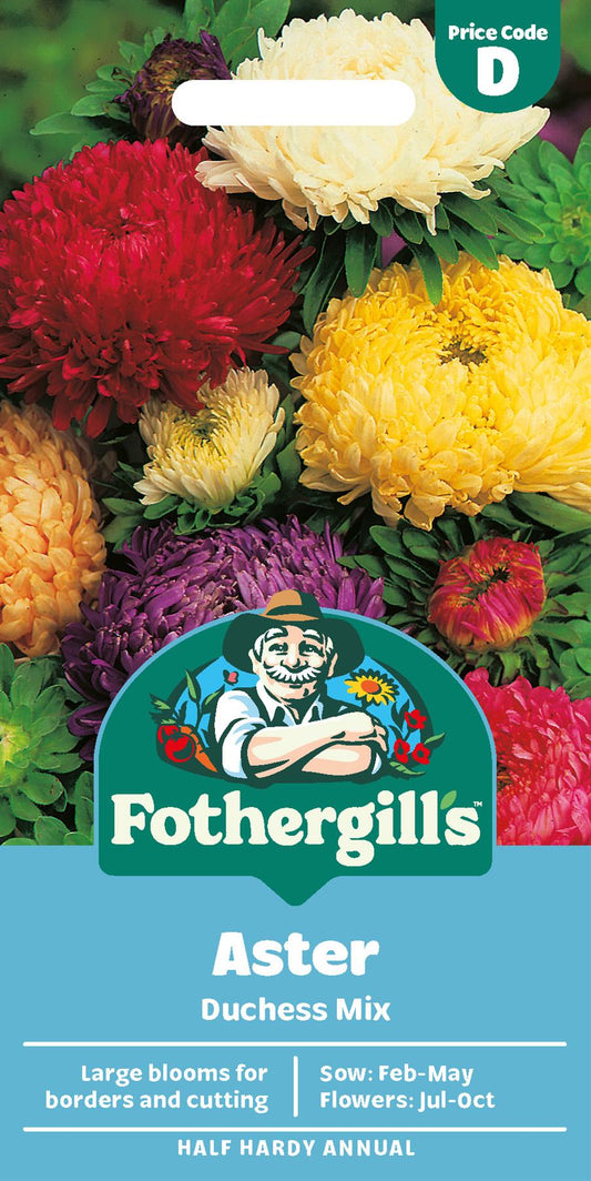 Fothergills Aster Duchess Mix Seeds