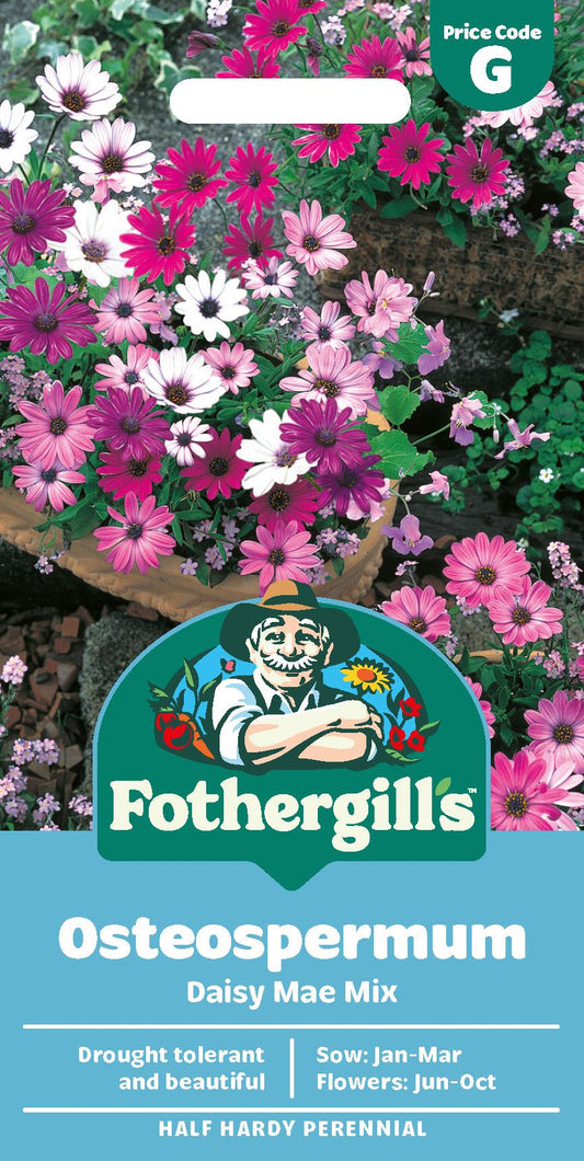 Fothergills Osteospermum Daisy Mae Mix Seeds
