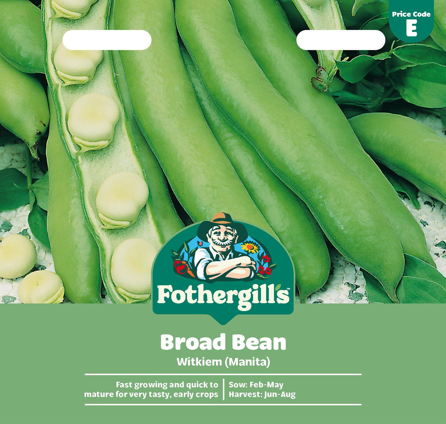 Fothergills Broad Bean Witkiem (Manita) Seeds
