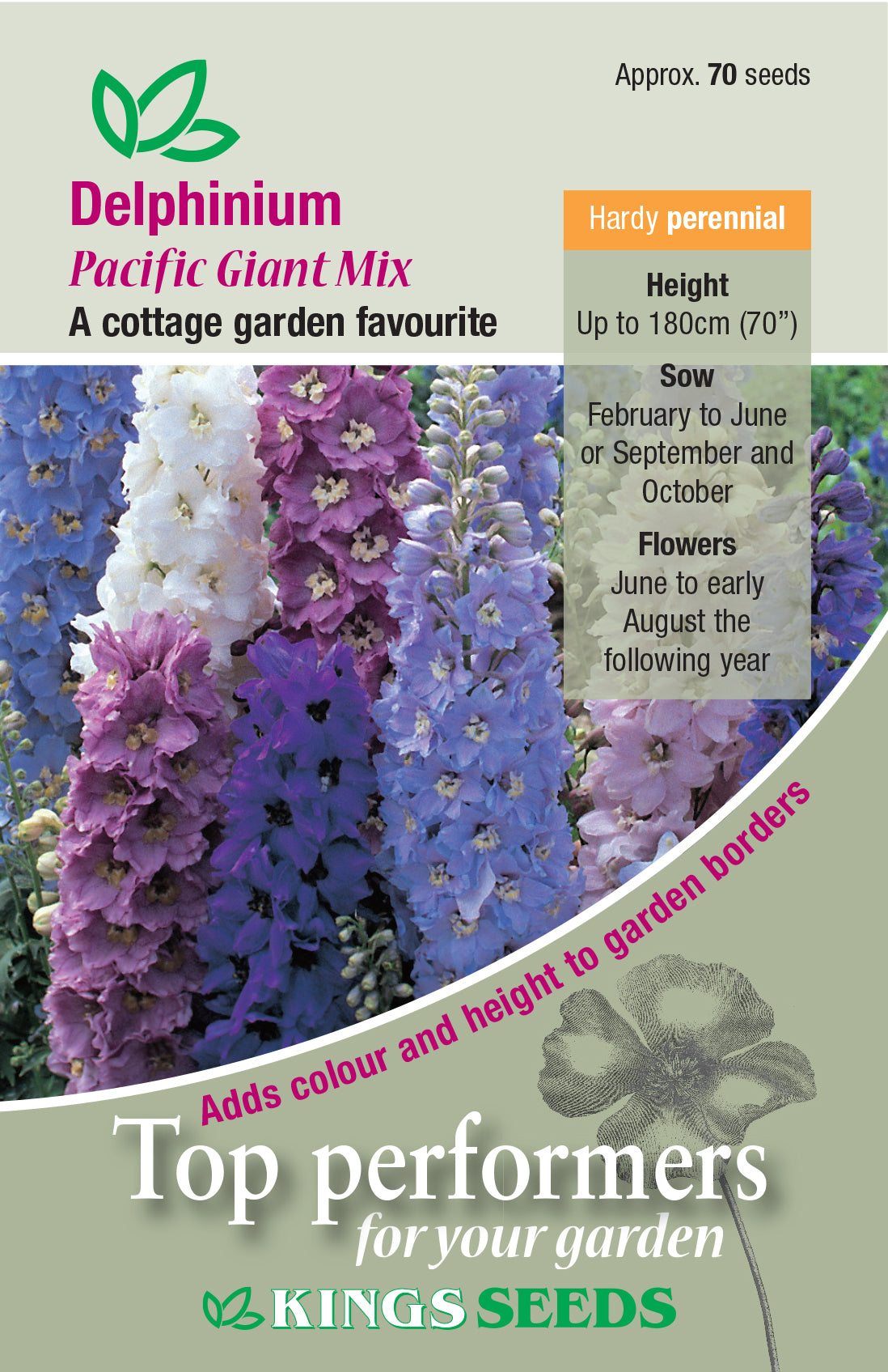 Kings Seeds Flower Delphinium Pacific Mixed Seeds